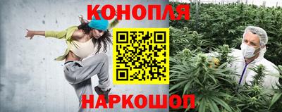 сатива Малоярославец