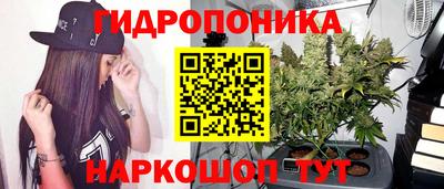 шишки Малгобек
