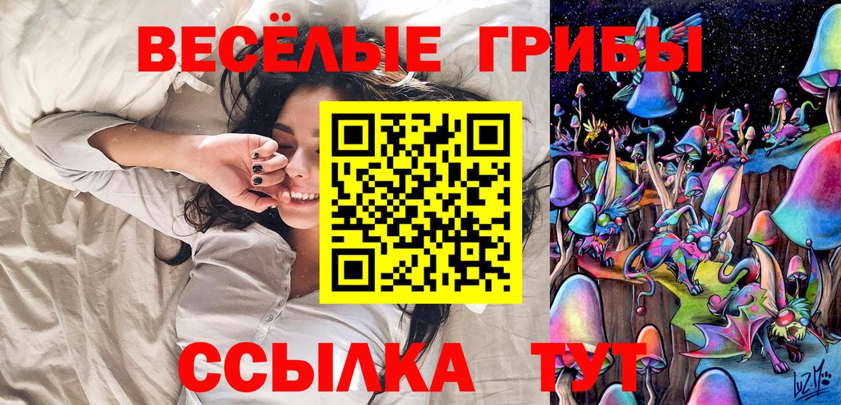 Псилоцибиновые грибы Psilocybe Южноуральск