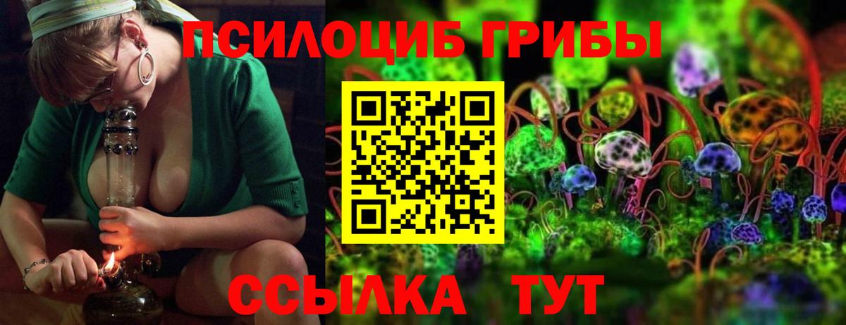Южноуральск  Галлюциногенные грибы мицелий  Псилоцибиновые грибы ЛСД  Вход с VPN 